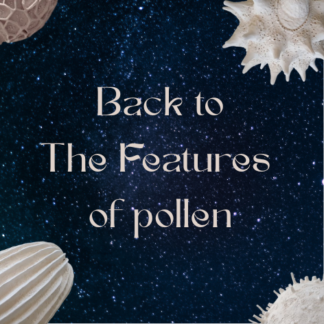 Retour à L’Air du pollen (1)